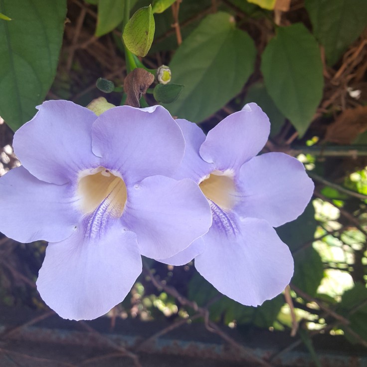 IMG_20170613_212853_159